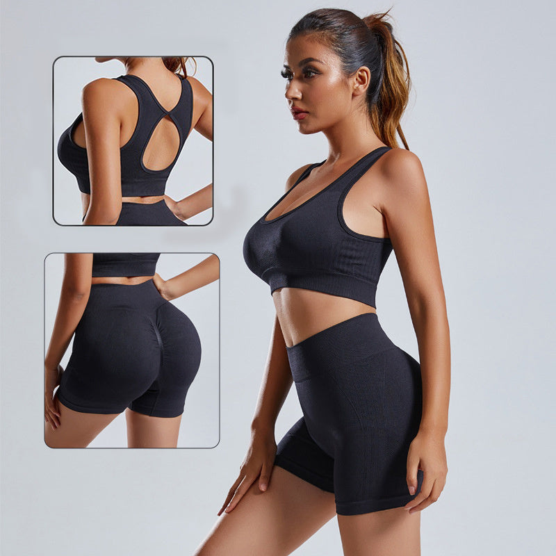 Women's 2-Piece Seamless Yoga Vest Shorts Workout Set