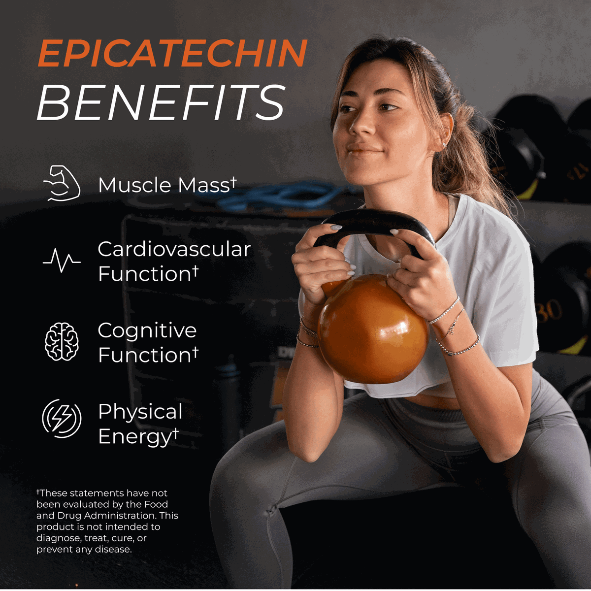 Epicatechin Supplement for Muscle Support and Performance Enhancement