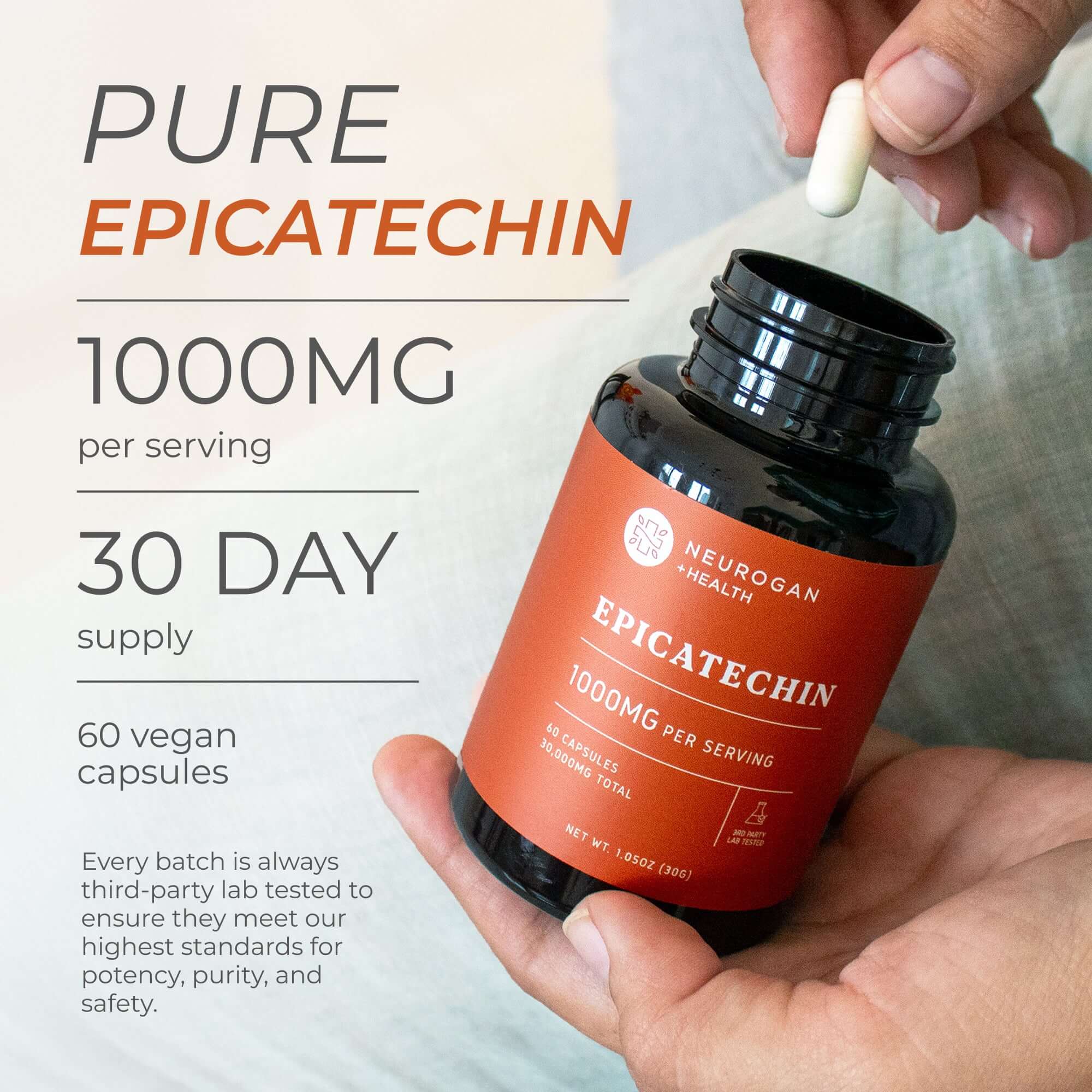 Epicatechin Supplement for Muscle Support and Performance Enhancement
