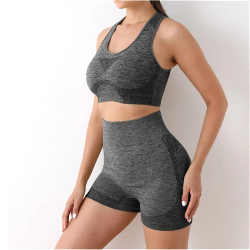 Multi-Color Seamless Activewear Set Stretch Fitness Workout Outfit
