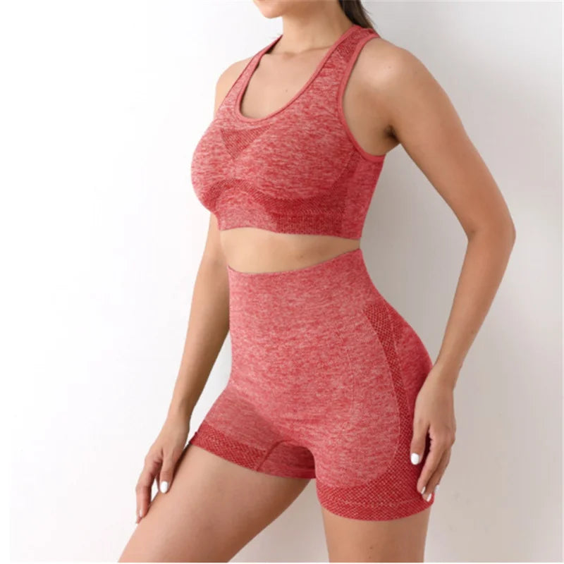 Multi-Color Seamless Activewear Set Stretch Fitness Workout Outfit