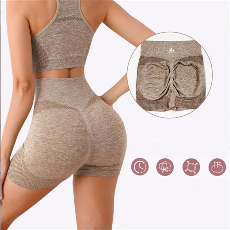 Multi-Color Seamless Activewear Set Stretch Fitness Workout Outfit