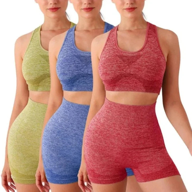 Multi-Color Seamless Activewear Set Stretch Fitness Workout Outfit