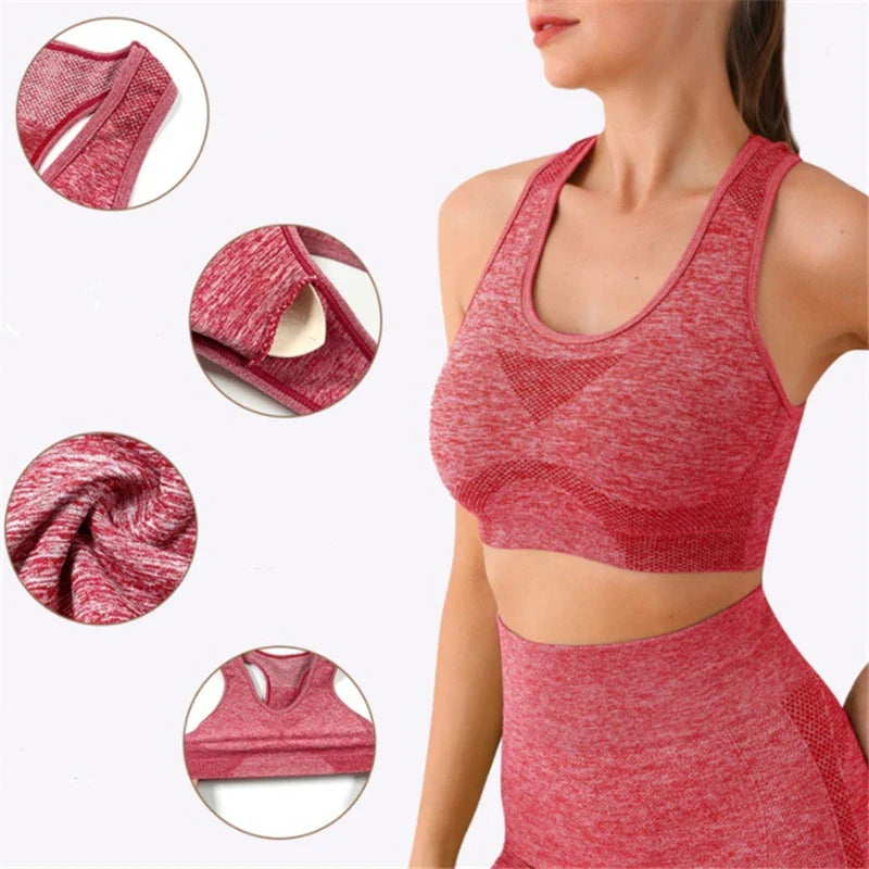 Multi-Color Seamless Activewear Set Stretch Fitness Workout Outfit