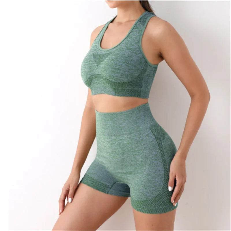 Multi-Color Seamless Activewear Set Stretch Fitness Workout Outfit