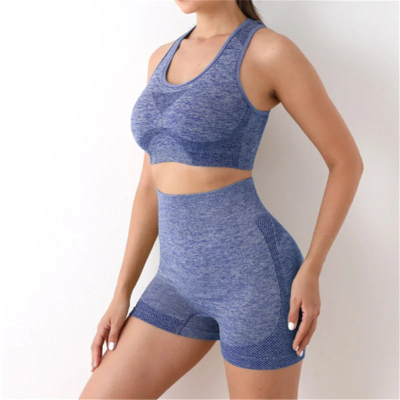 Multi-Color Seamless Activewear Set Stretch Fitness Workout Outfit