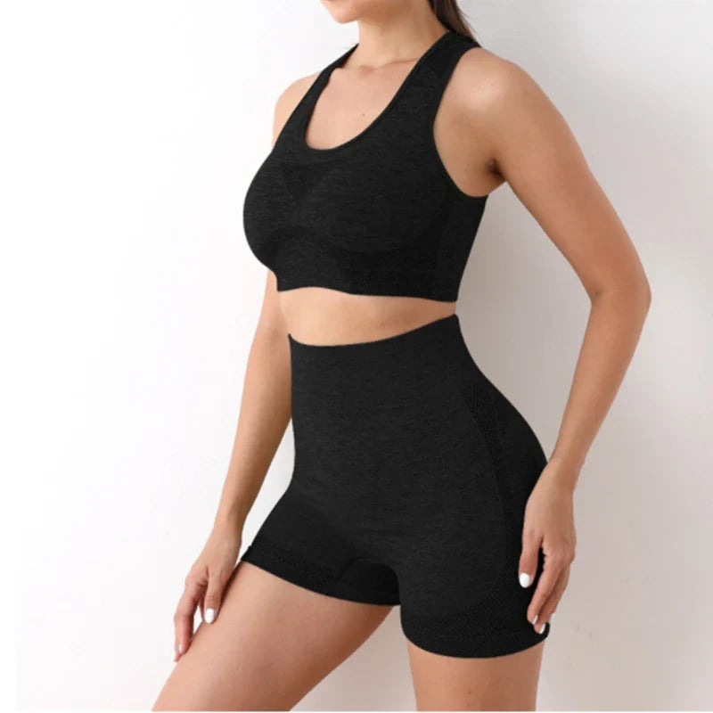 Multi-Color Seamless Activewear Set Stretch Fitness Workout Outfit