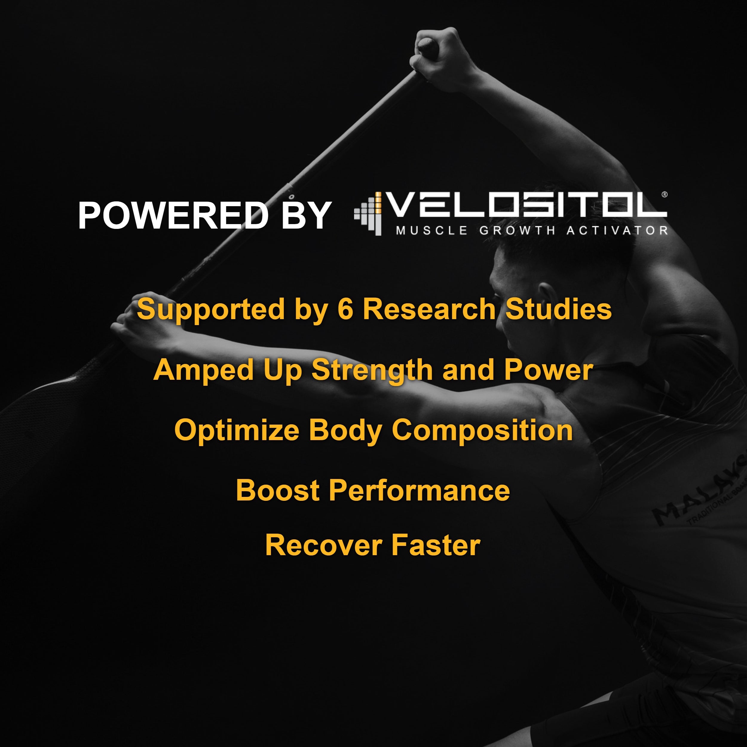 Plant Based Sport Protein Vegan Muscle Support Supplement