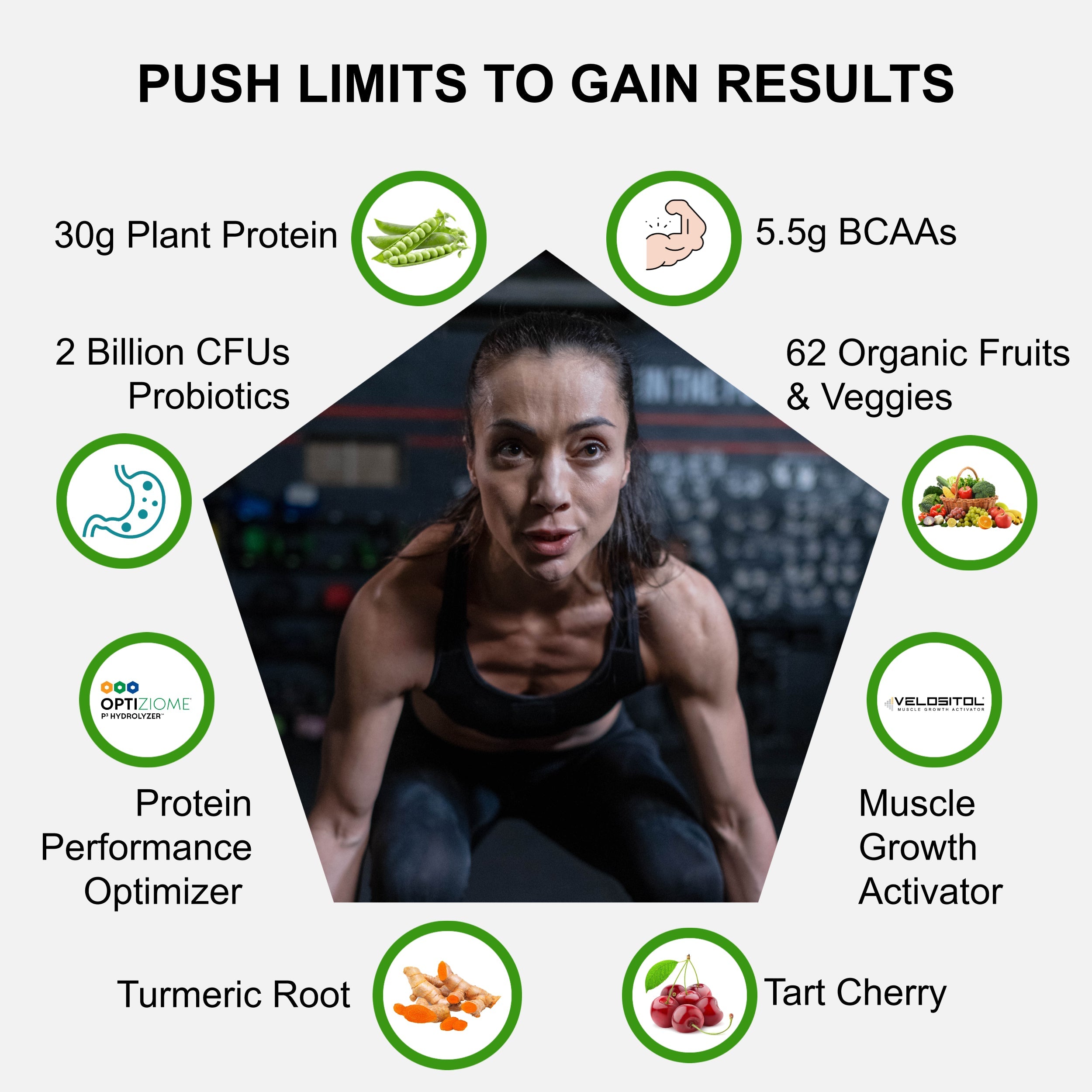 Plant Based Sport Protein Vegan Muscle Support Supplement