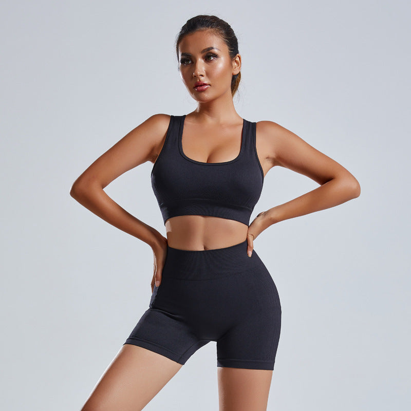 Women's 2-Piece Seamless Yoga Vest Shorts Workout Set